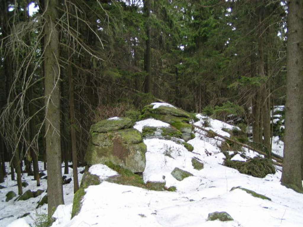 P3020031-1024.jpg