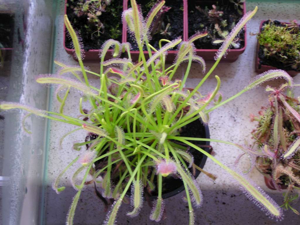 P3080020-1024~0.jpg