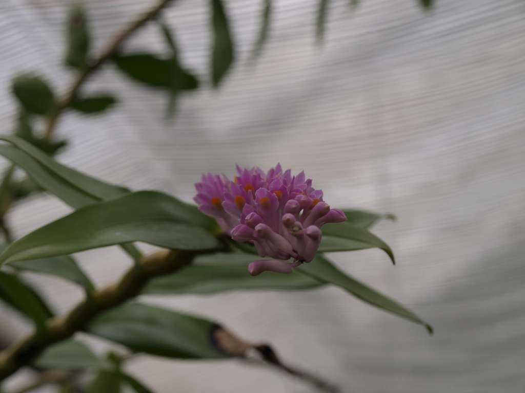 P3102234-1024.jpg