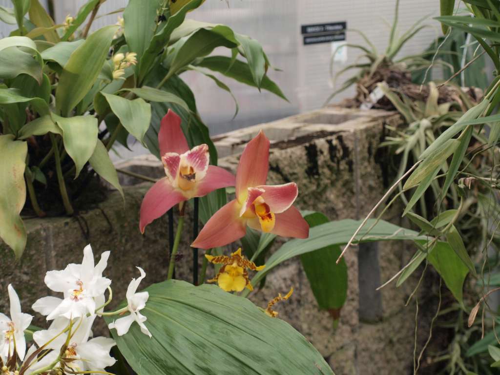 P3102253-1024.jpg