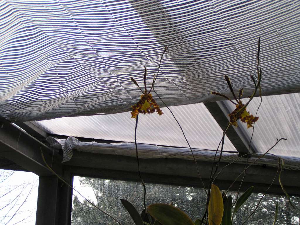 P3160038-1024.jpg