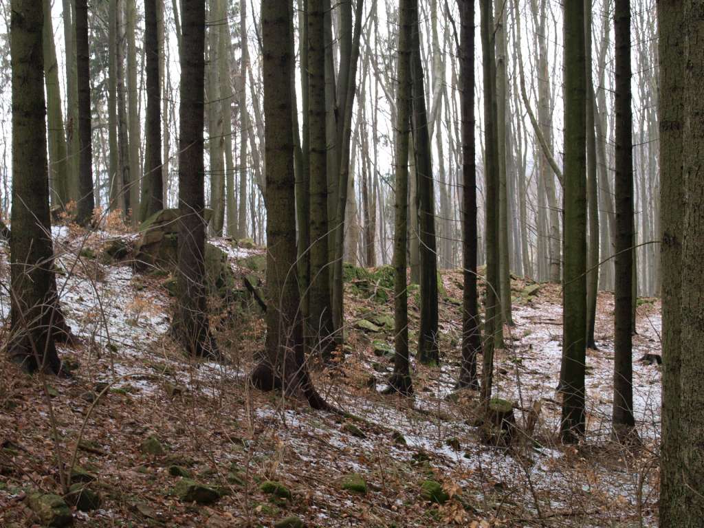 Údolí Chébského potoka
