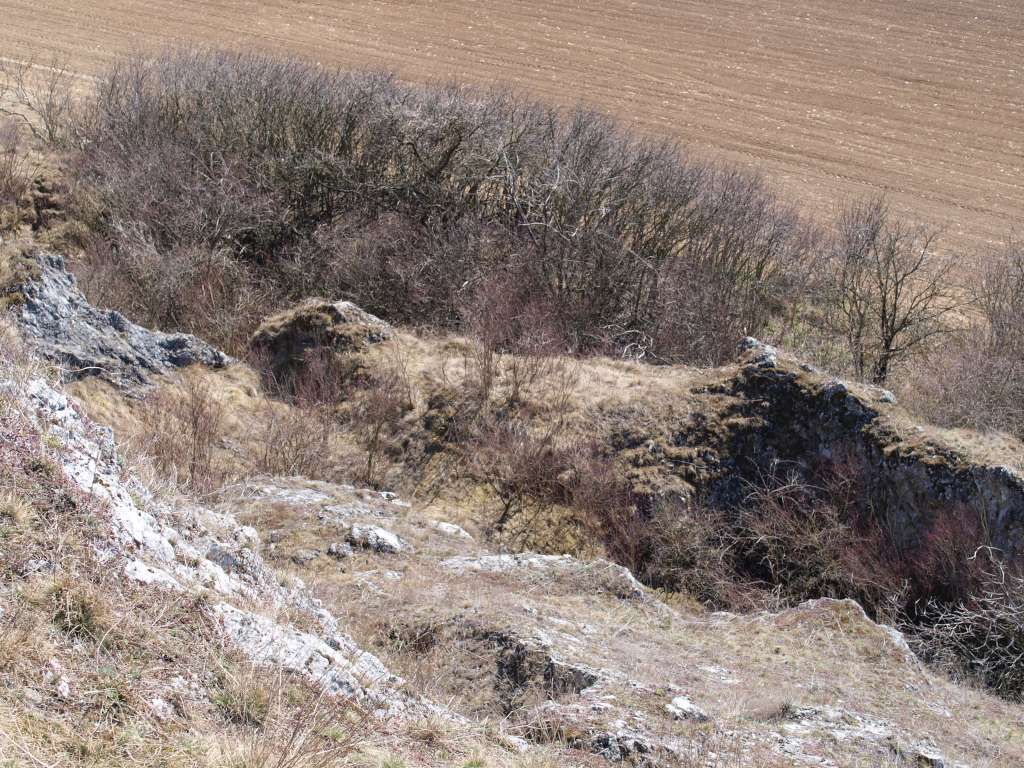 Malhostovická pecka
