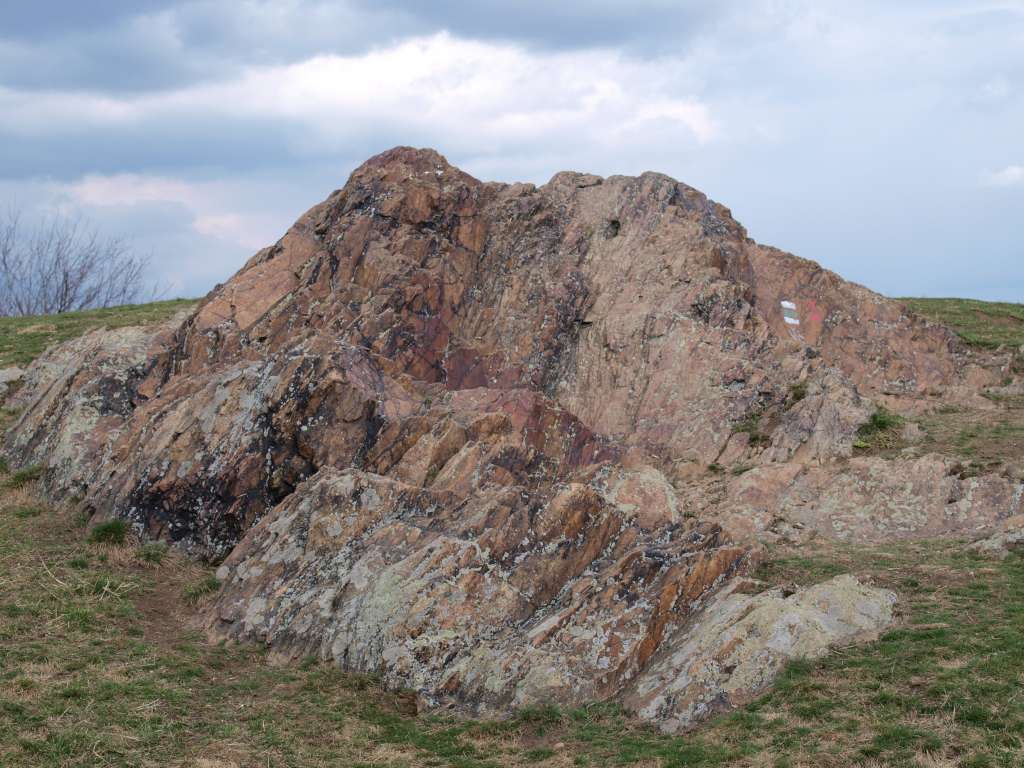 Medlánecké kopce

