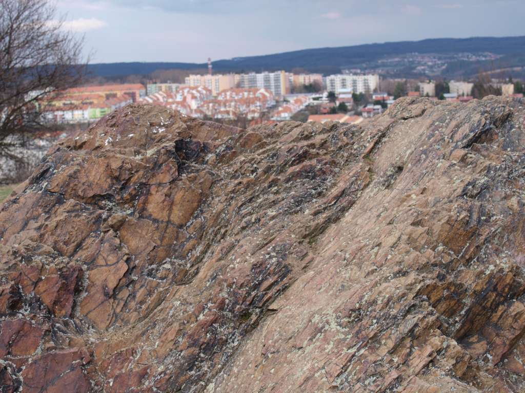 Medlánecké kopce
