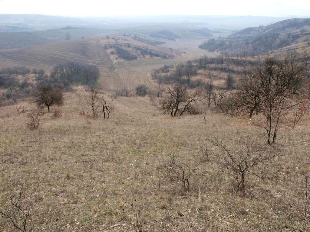 Pouzdřanská step
