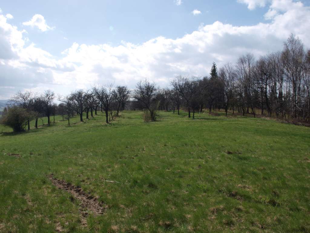 Panorama

