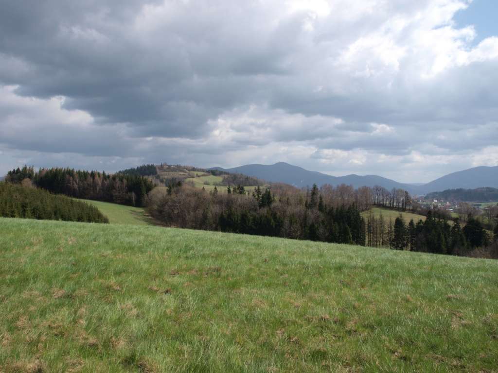 Panorama

