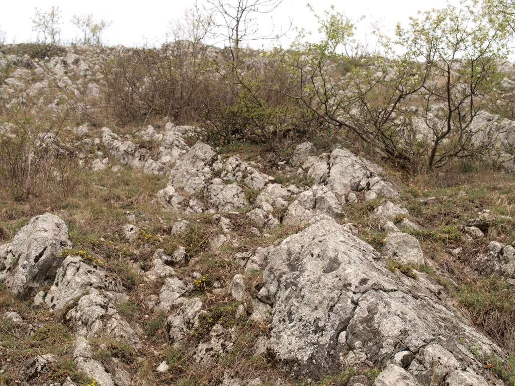 Pálava
