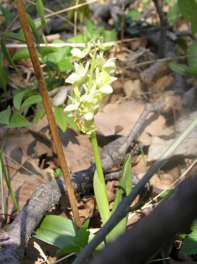 P4220784-1024~0.jpg