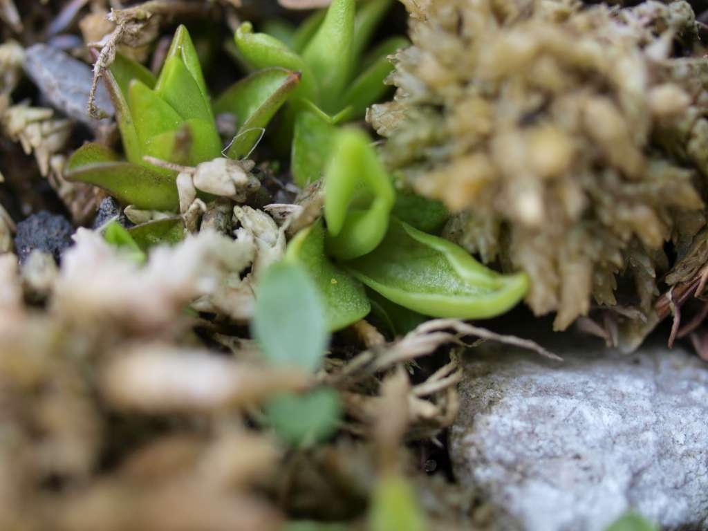 P4222856-1024~0.jpg