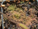P4132637-1024.jpg