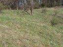 P4184285-1024.jpg