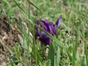 P4184350-1024.jpg