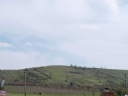 P4184422-1024.jpg