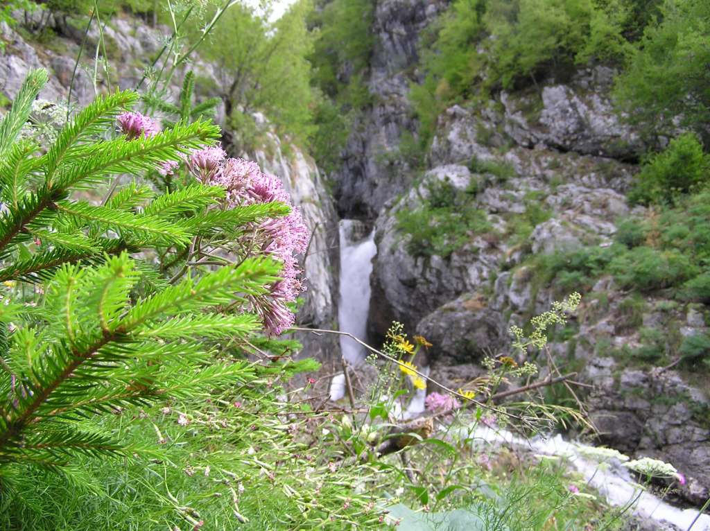 08_2006_Slovinsko_003-1024.jpg