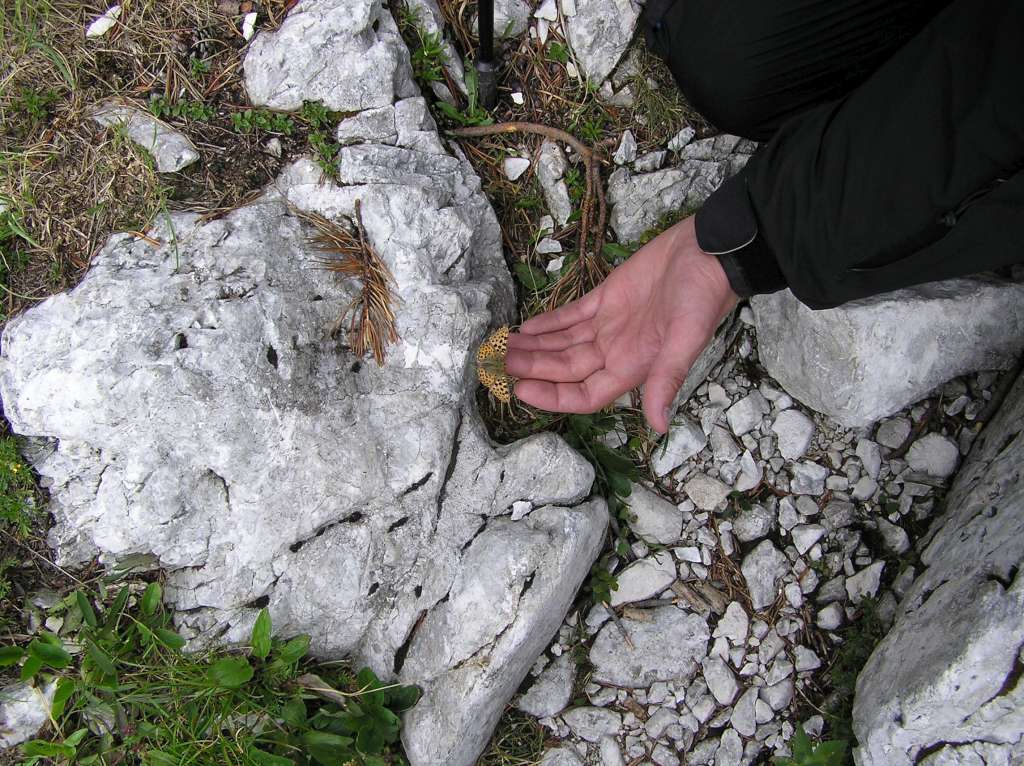 08_2006_Slovinsko_115-1024.jpg