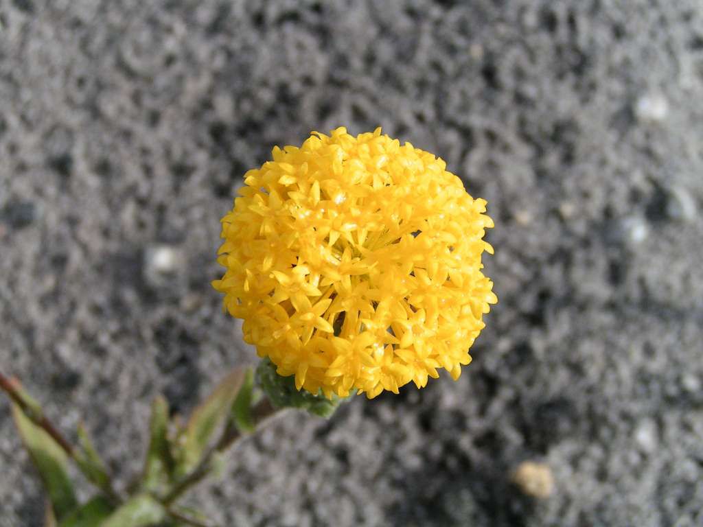 15CT0019-1024.jpg