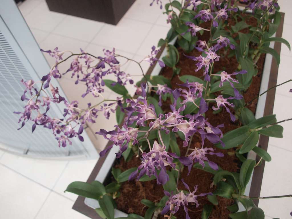 20100918_103508_Zbynek_P9186586-1024.jpg