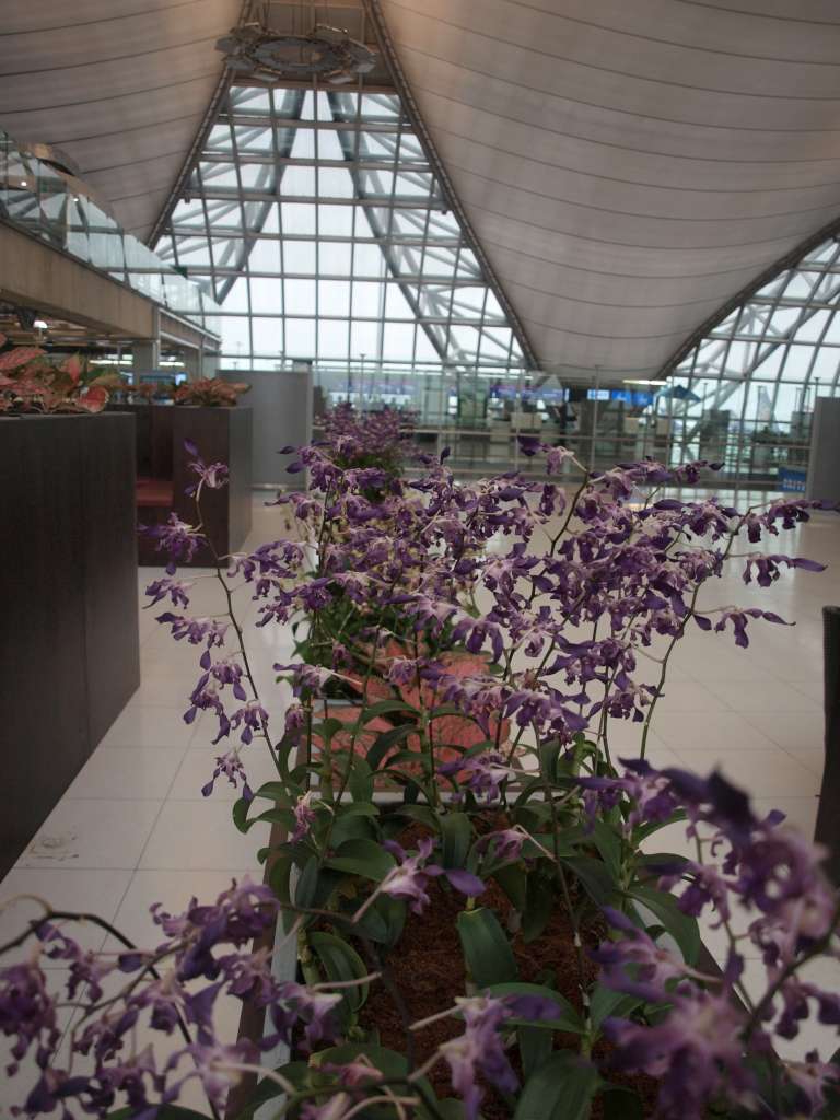 20100918_103521_Zbynek_P9186587-1024.jpg