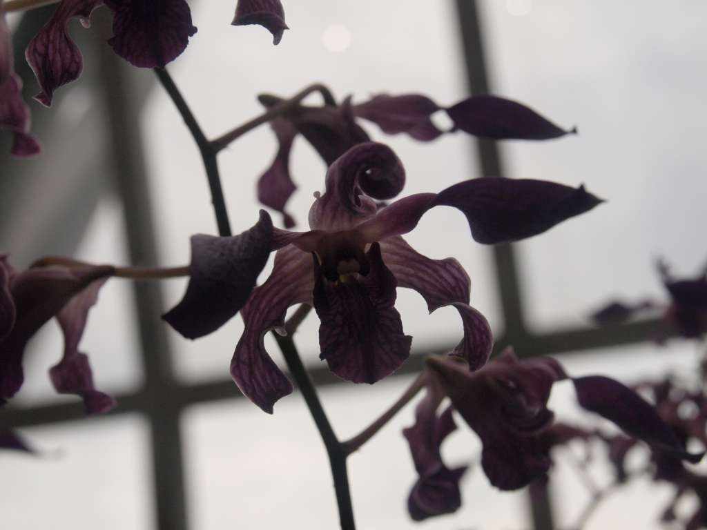 20100918_105356_Zbynek_P9186591-1024.jpg