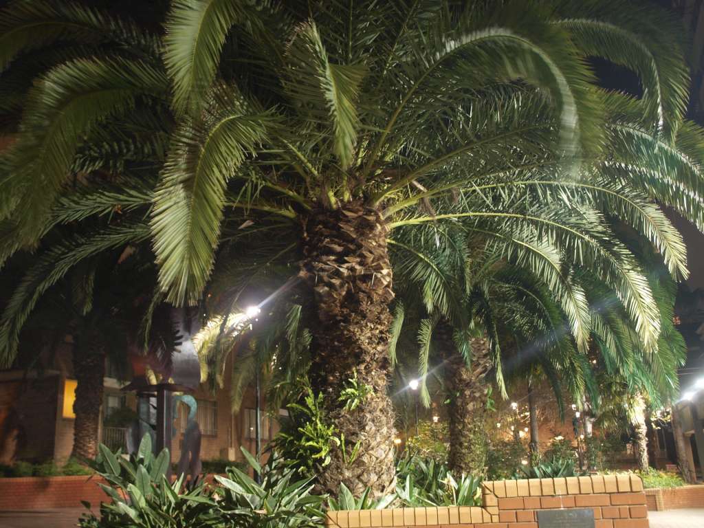 20100919_121702_Zbynek_P9196603-1024.jpg