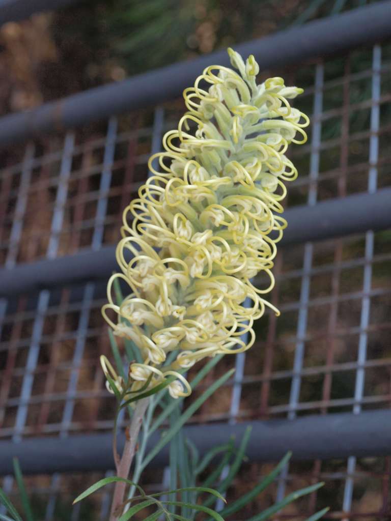 20100920_080016_Zbynek_P9206652-1024.jpg