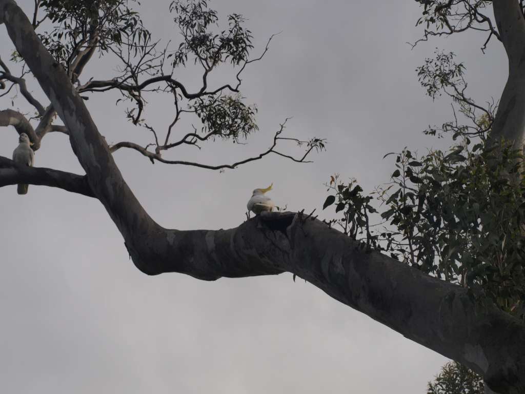 20100920_081438_Zbynek_P9206675-1024.jpg
