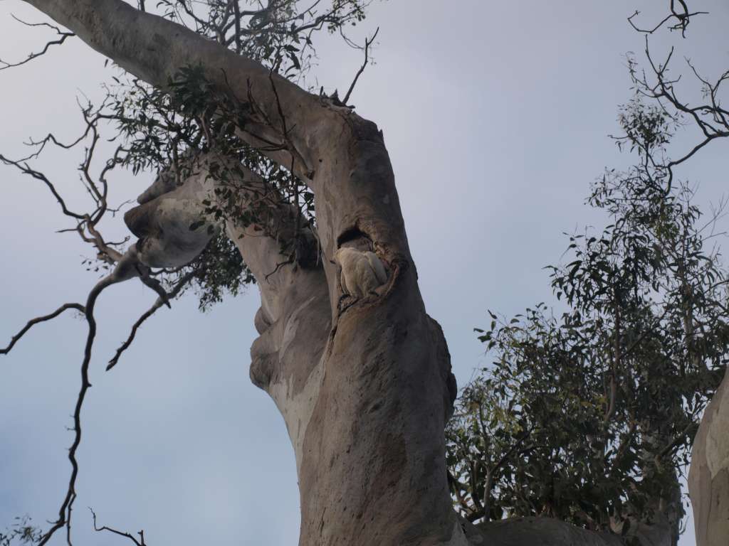 20100920_081506_Zbynek_P9206677-1024.jpg