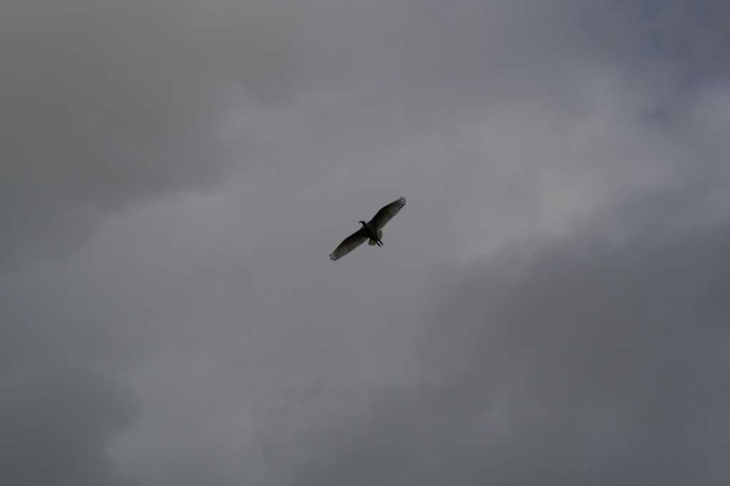 20100920_082147_Vlada_DPP_0174-1024.jpg