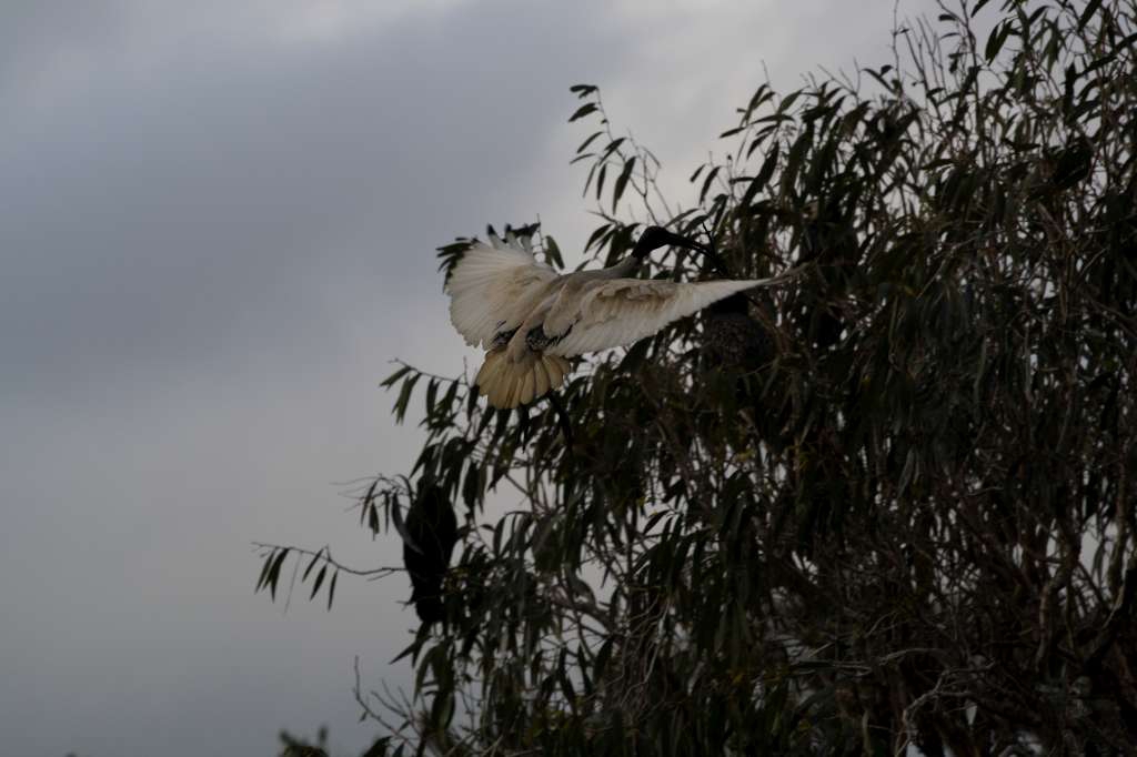 20100920_082634_Vlada_DPP_0185-1024.jpg