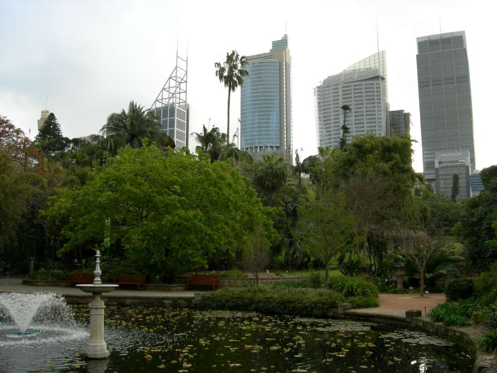 20100920_083523_Nikon_DSCN6784-1024.jpg