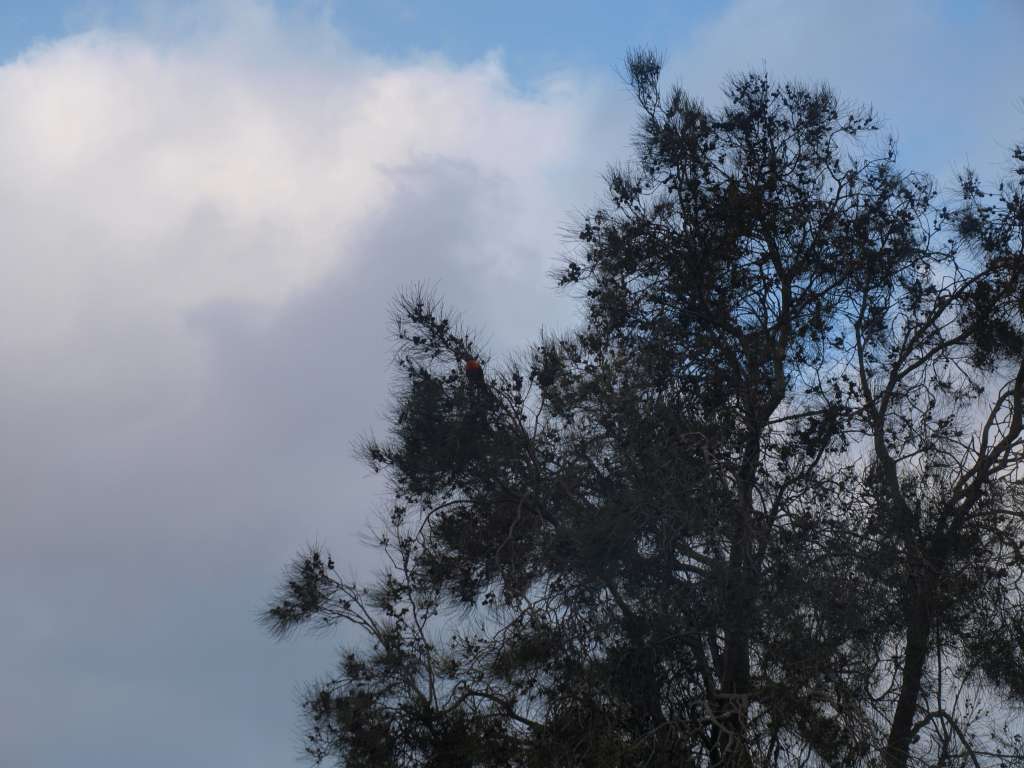 20100920_084104_Zbynek_P9206716-1024.jpg