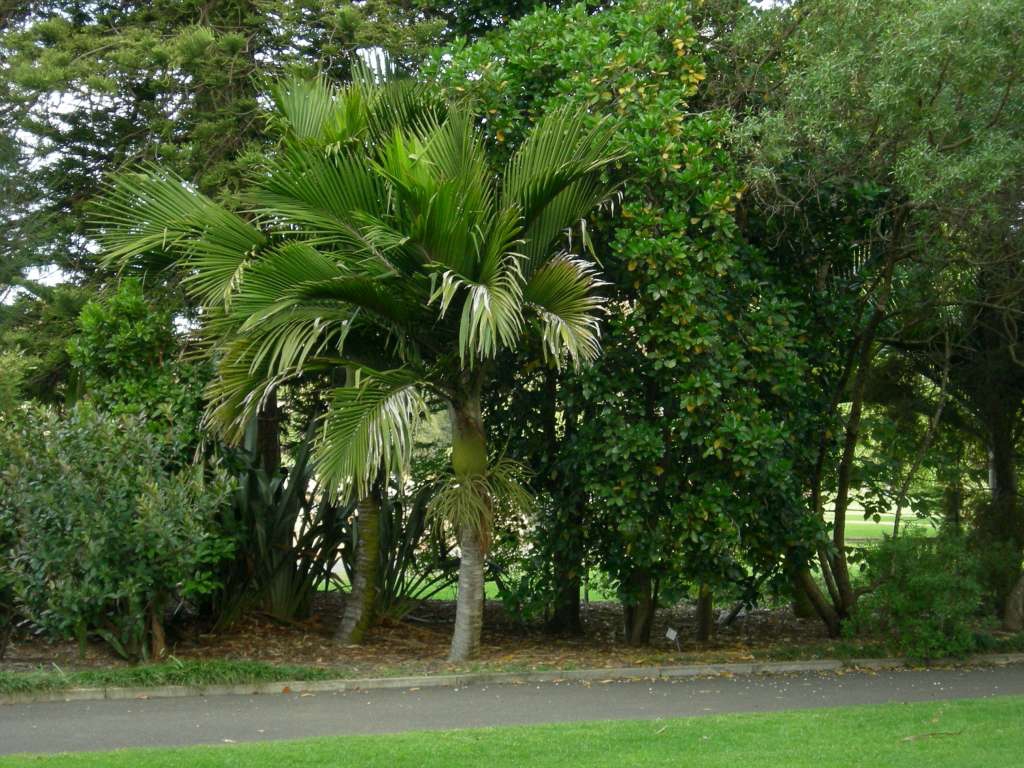 20100920_084215_Nikon_DSCN6796-1024.jpg