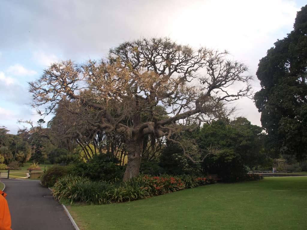 20100920_084410_Zbynek_P9206719-1024.jpg