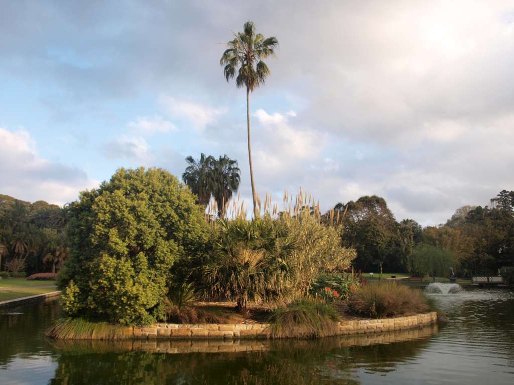 20100920_084503_Zbynek_P9206721-1024.jpg