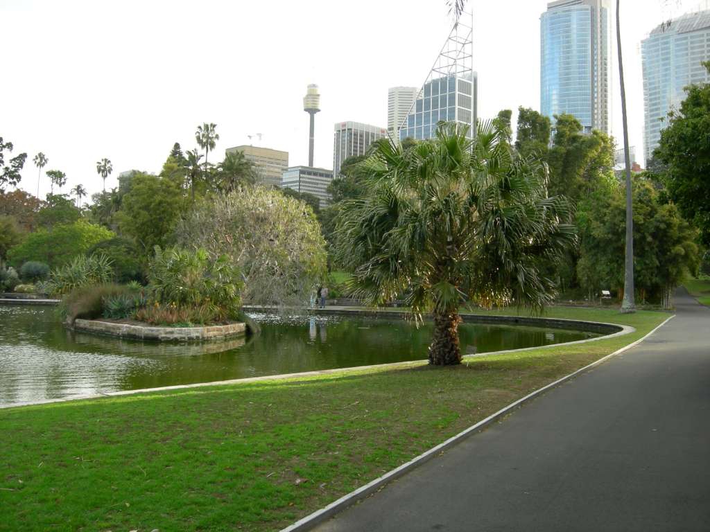 20100920_084522_Nikon_DSCN6801-1024.jpg