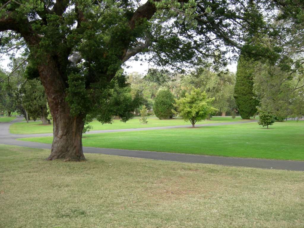 20100920_085515_Nikon_DSCN6812-1024.jpg