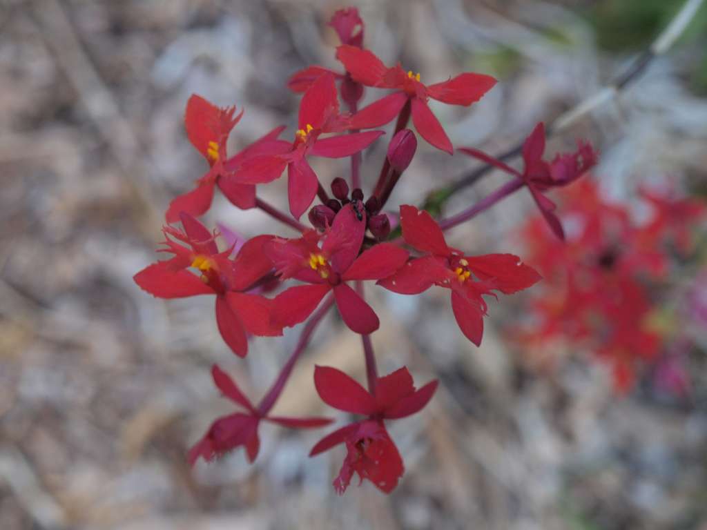 20100920_090659_Zbynek_P9206746-1024.jpg