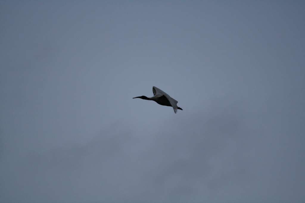 20100920_094234_Vlada_DPP_0226-1024.jpg