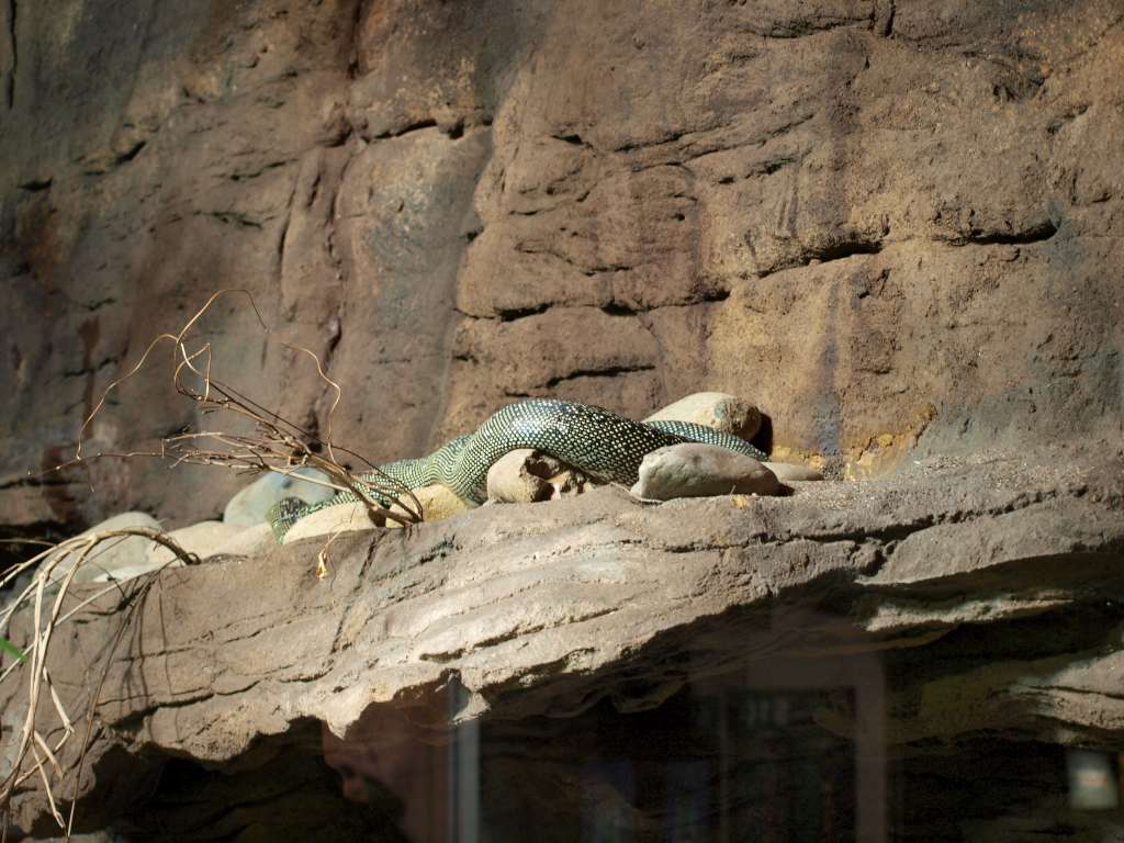 20100921_022504_Zbynek_P9216882-1024.jpg