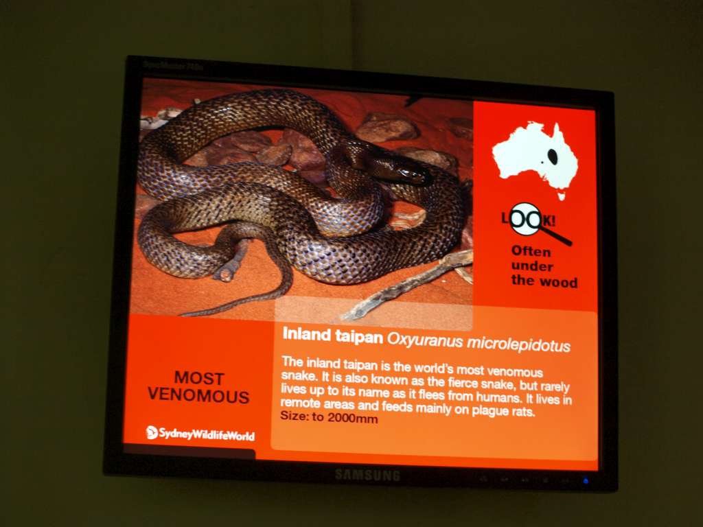 20100921_023008_Zbynek_P9216905-1024.jpg
