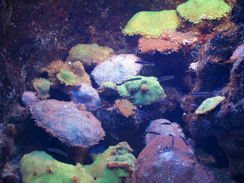 20100921_041411_Zbynek_P9217039-1024.jpg
