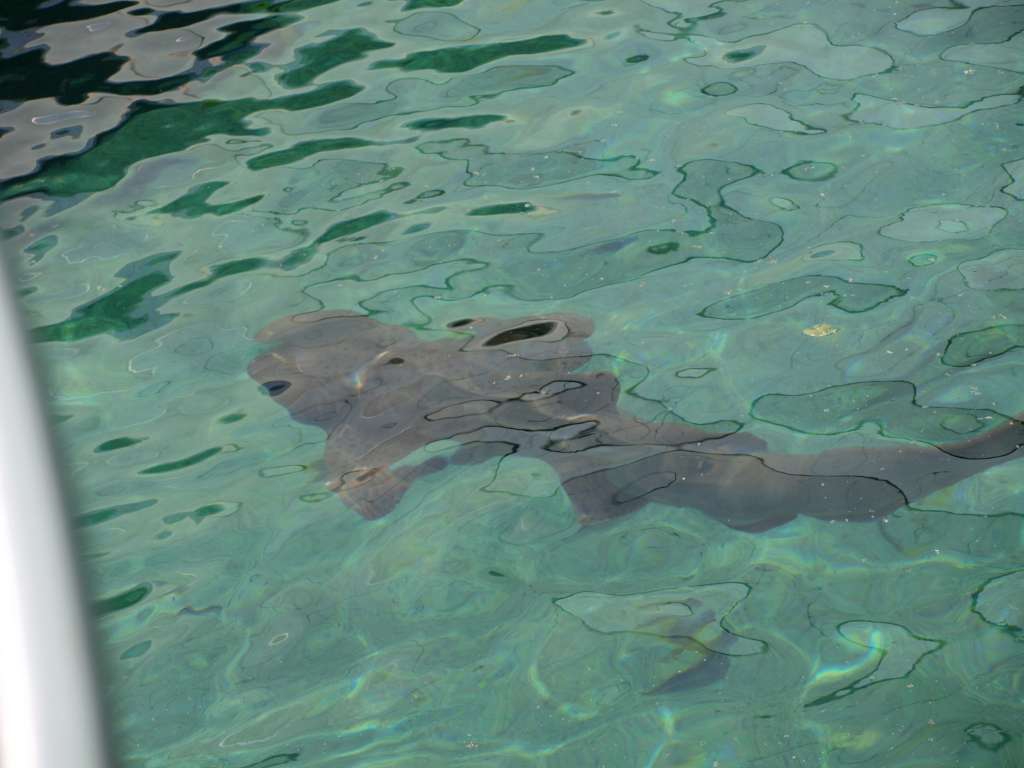 20100921_042521_Zbynek_P9217078-1024.jpg