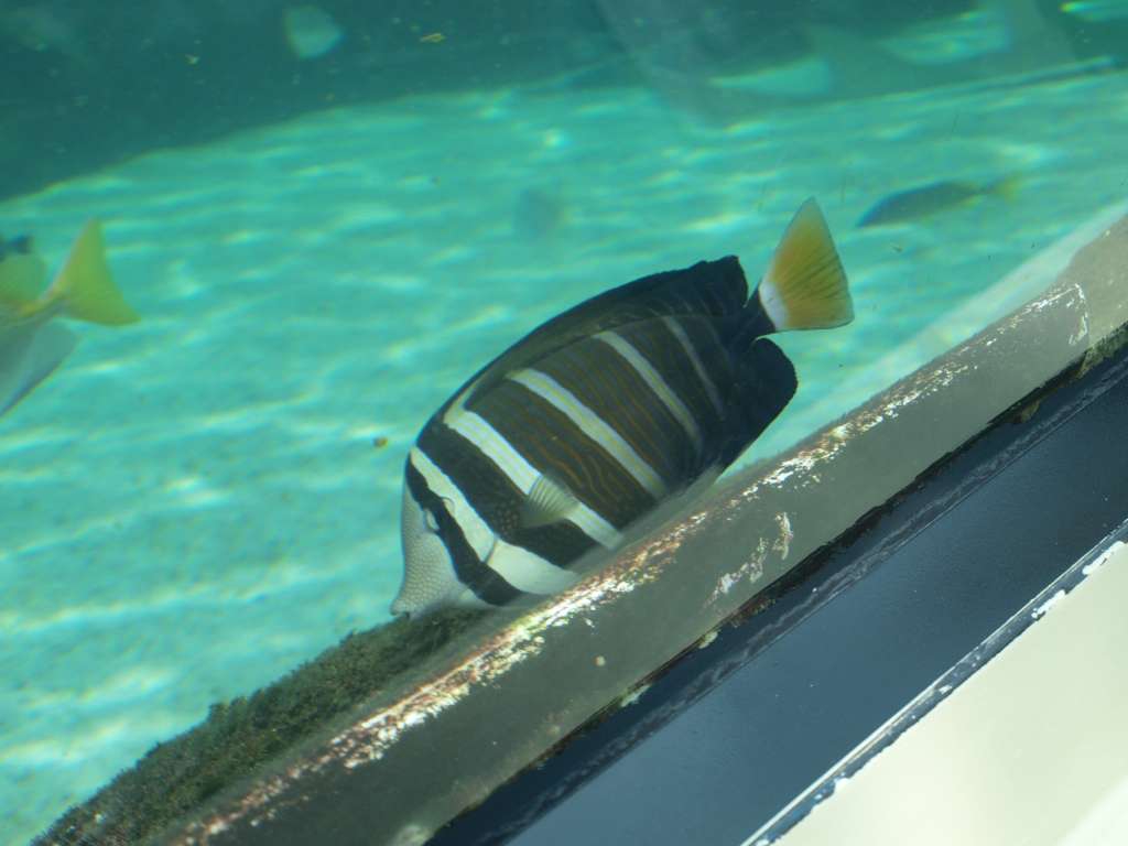 20100921_043442_Zbynek_P9217101-1024.jpg