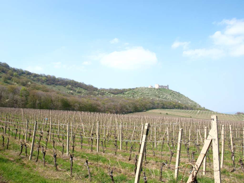 Dívčí hrad
