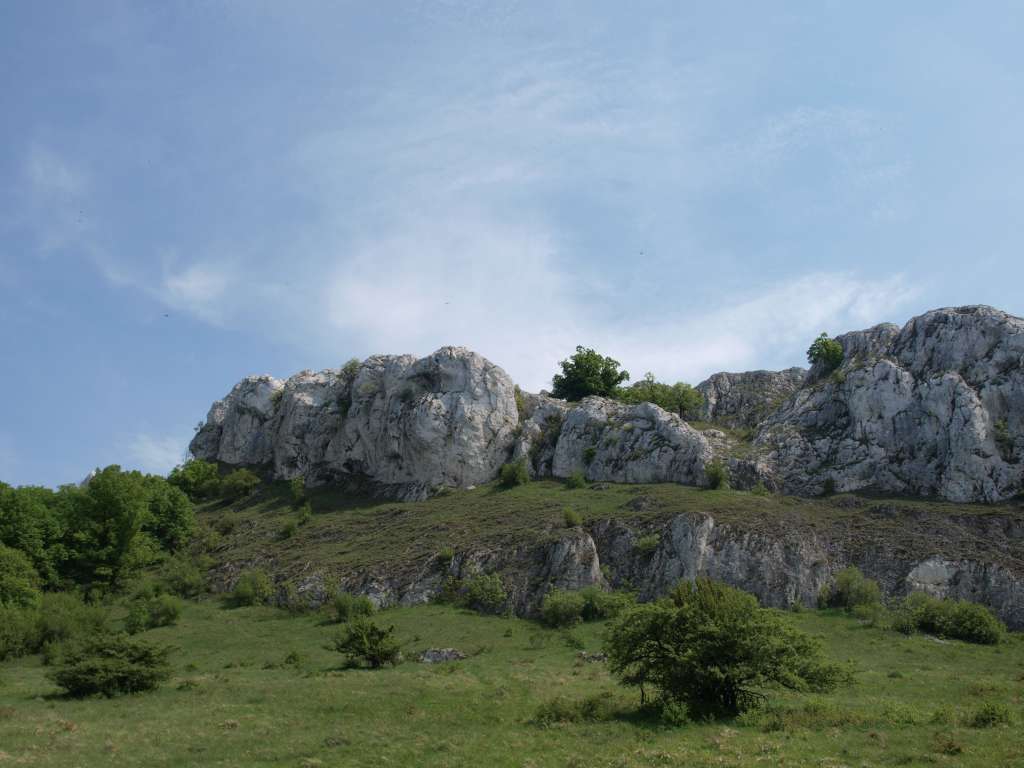 Pálava
