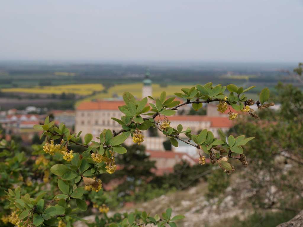 P5021157-1024~0.jpg
