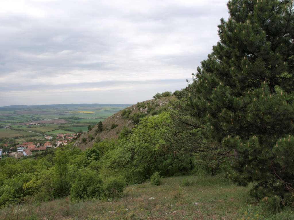 Svatý kopeček
