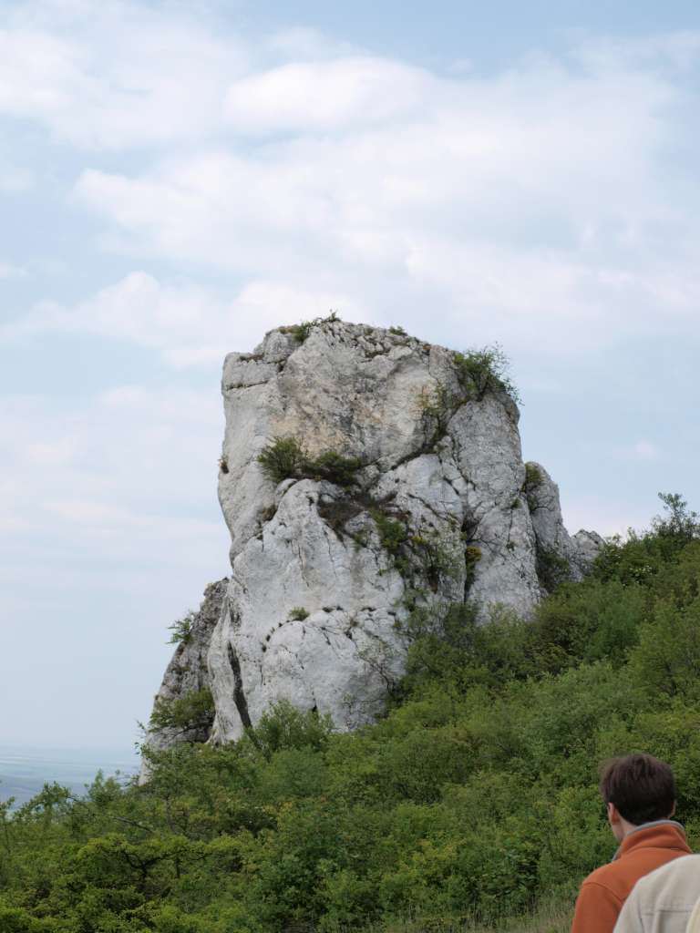 Pálava
